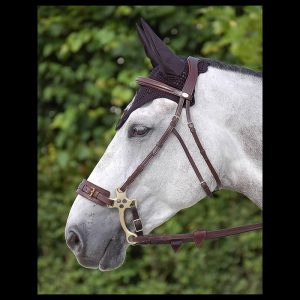 Dy'on Träns för Hackamore