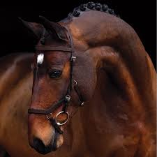 Träns Rambo Micklem Competition Bridle