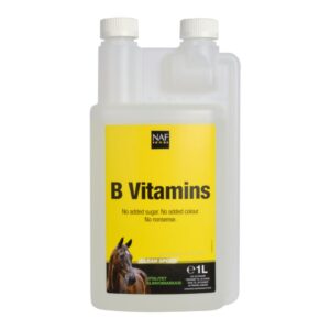NAF B-Vitaminer  - Utan tillsatt socker!