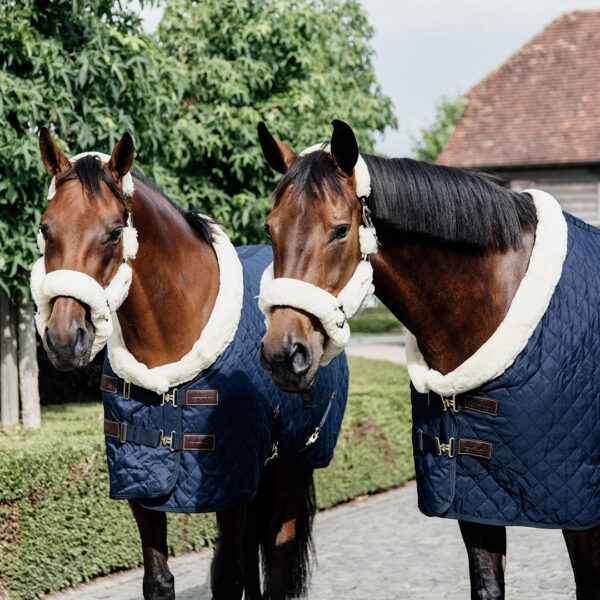 Kentucky Showrug 160g Navy - Bild 2