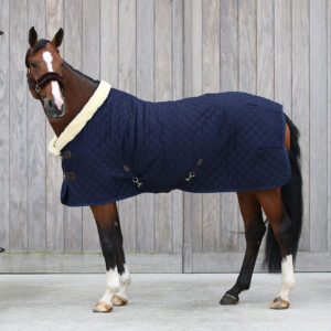 Kentucky Showrug 160g Navy