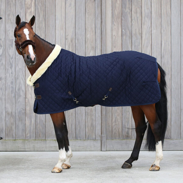 Kentucky Showrug 160g Navy