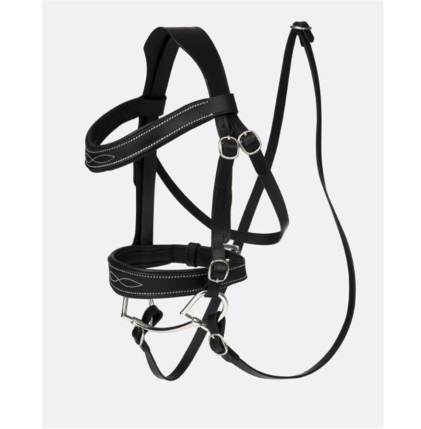 LeMieux Hobbyhorse: Käpphäst Valegro - Bild 3