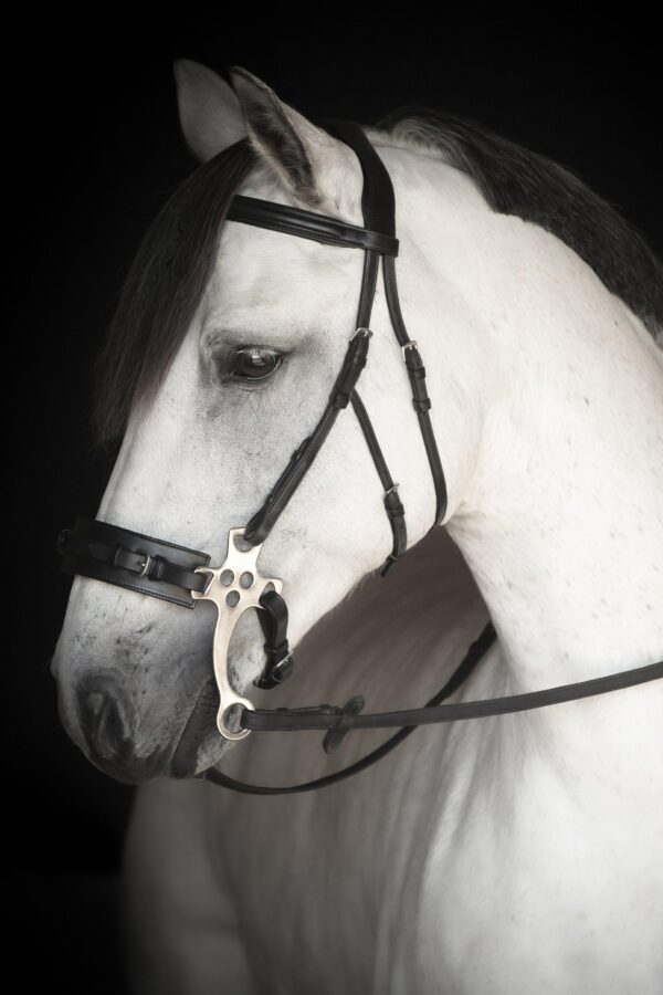 HACKAMORE TRÄNS LIPPO SUPREME CHESTER