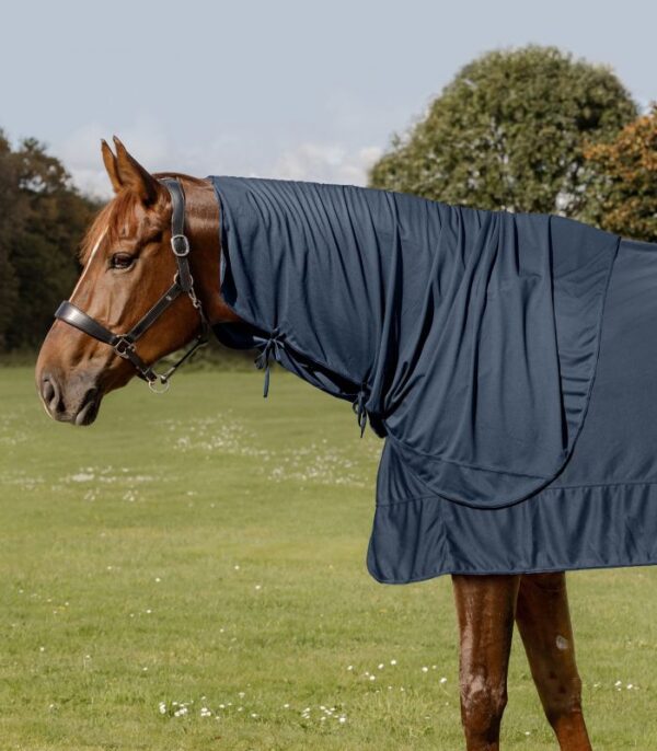 Halsdel till Health & Care Ice-Layer Rug, Waldhausen